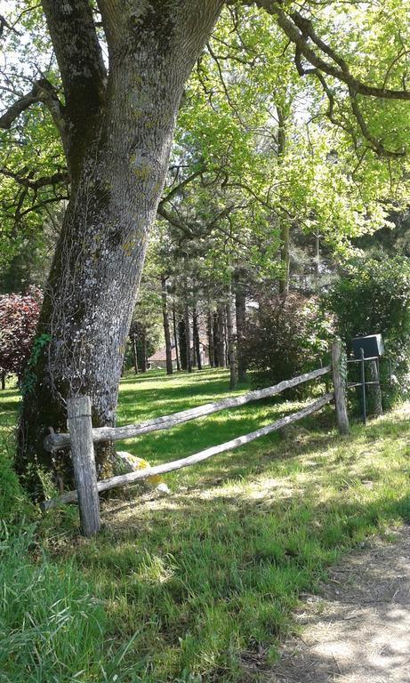 Gite De Serre Le Grand-Pressigny Exteriér fotografie